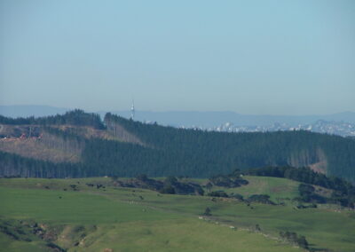 Kumeu View